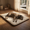 Pawse Cool Mat cream cooling gel mat with senior rescue dog asleep by window