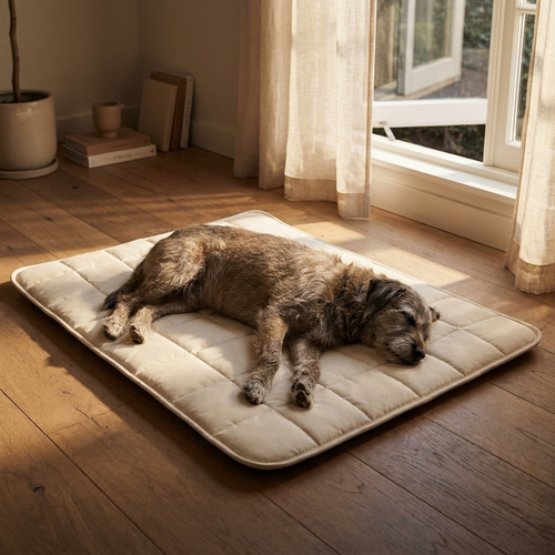 Pawse Cool Mat cream cooling gel mat with senior rescue dog asleep by window